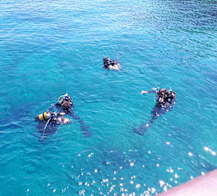 Waterhoppers Tauchschule