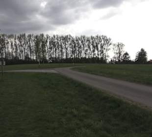 Lehrpfad Bäume des Jahres