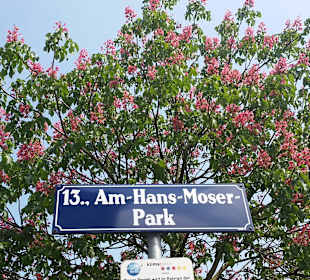 Hans Moser Park gleich neben dem Hotel