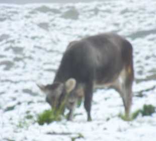 Widok z początków sierpnia