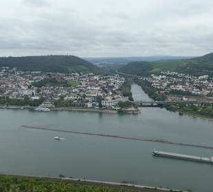 Bei unseren Wanderungen bei Rüdesheim