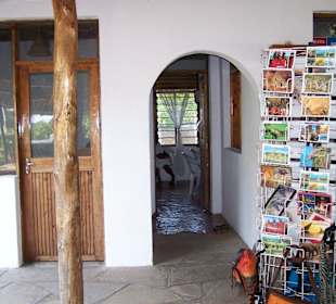 Beauty Saloon Diani Palm