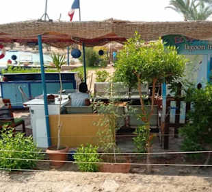 Ausflug El Gouna mit Alex Andra