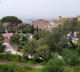 Blick auf den Botanischen Garten