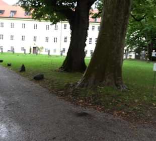 Kloster Bernried