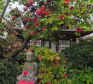 Japanischer Garten Leverkusen