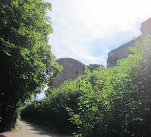 Burg Altdahn