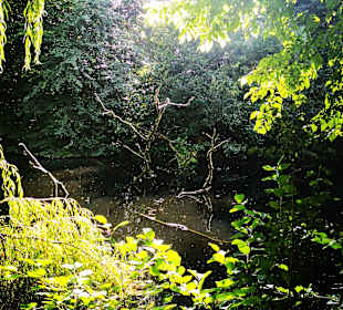Schlossgarten Schloss Ritzebüttel