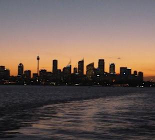 Skyline mit Sydney Tower
