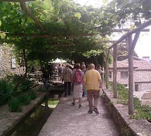 Pergolen vor dem Rosengarten