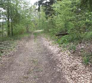 Premiumwanderweg Hochgebürzelt