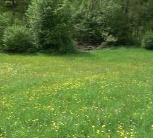 Naturpark Schönbuch