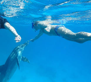 "Ich will mein Spielzeug zurück " 