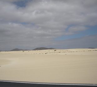 Dunas
