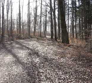 Premiumwanderweg Hohenwittlingensteig