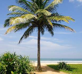 Strand in Bentota