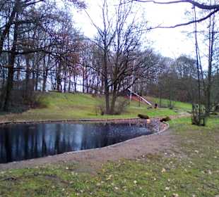 Volkspark Schwanenweiher in Kaiserslautern