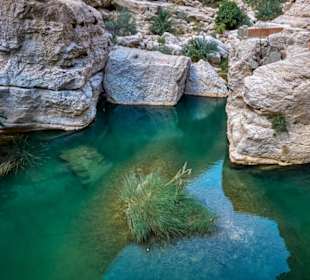 Am Wadi Shab