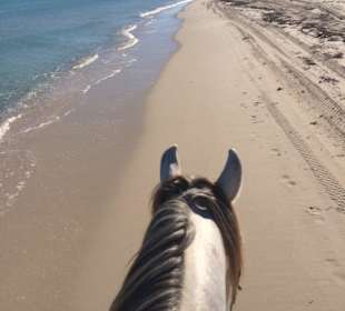 Ausritt am unberührten Strand