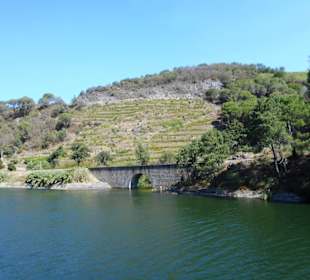 Douro Flussreisen