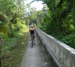 Pfade durch´s Grüne