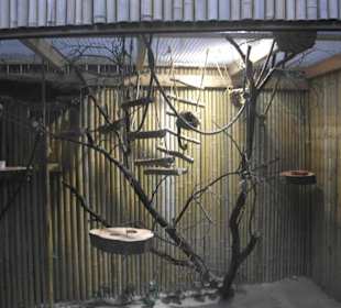 Schmetterlingshaus Jonsdorf