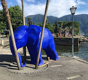 Stadtrundgang Ascona