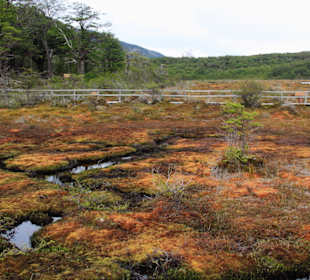 Nationalpark Tierra del Fuego