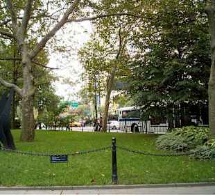 Green area at Bryant Park