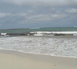 Einfach paradiesisch