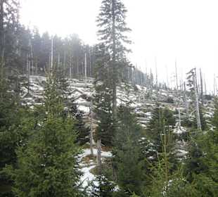 Karkonoski Park Narodowy