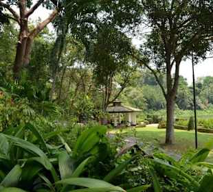 Singapur Zoo