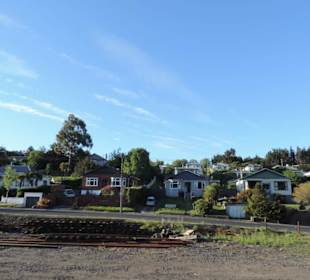 Mitder Taileri Railway durch die Natur Neuseelands