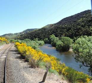 Mit der Taieri Railway durch die Natur Neuselands