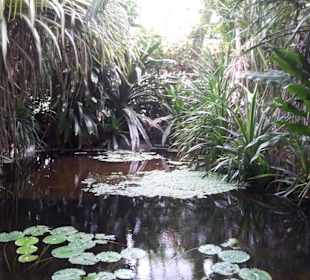 Palmiarnia Poznańska