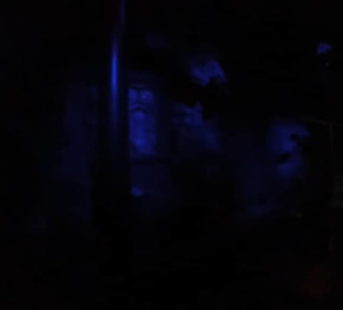 Deep in Africa - Black Mamba