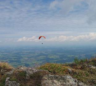 Paraglider beim Flug vom Hochfelln