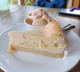 Büffelmilch-Käsekuchen