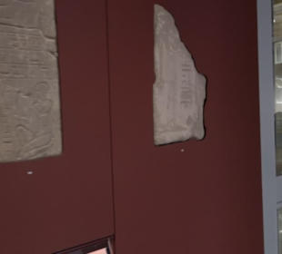 Museum Alte Kulturen