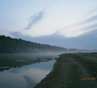 Morning mist on the river