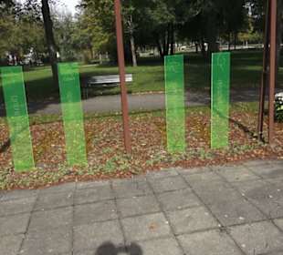 Kneipp`scher Sinnesgarten