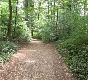 Hochgeträumt Premiumwanderung