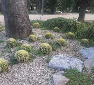 Jardins de Costa i Llobera