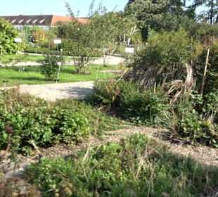 Botanischer Garten München