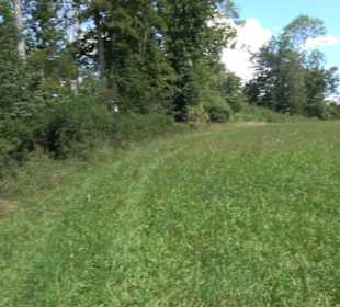 Burgruine Blankenstein