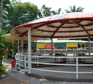 Singapur Zoo