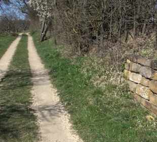 Premiumwanderweg "hochgeblickt"