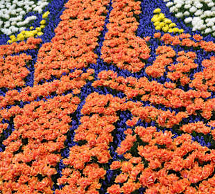 Парк Кекенхоф в Голандии