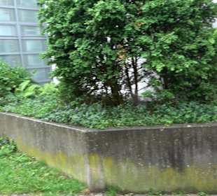 Katholische Kirche St. Albert