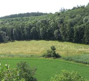 Burgruine Niederhaus